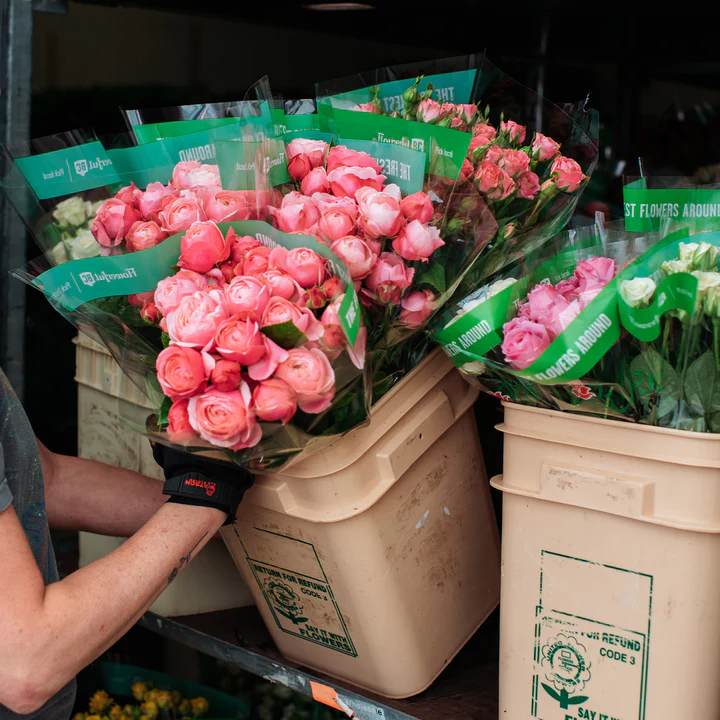 Fresh Eurosa Farms roses bundled in wholesale bins